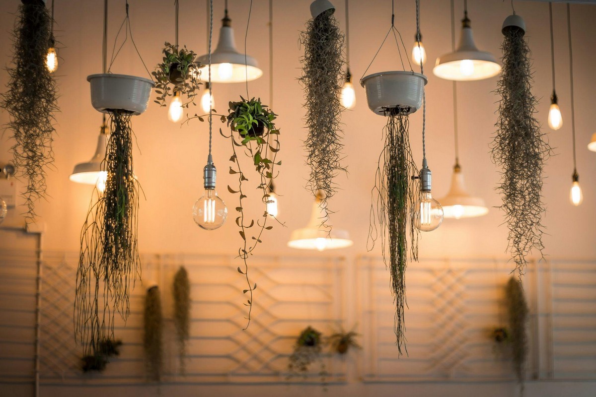 Decorative light installation in Central Valley with hanging fixtures and plants.